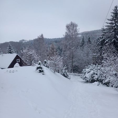 Villa Hygge chaloupka v horách Český Jiřetín Esterno foto